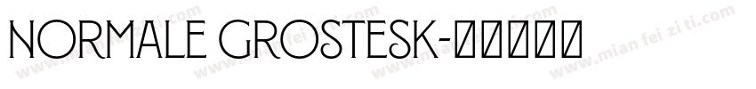 Normale Grostesk字体转换